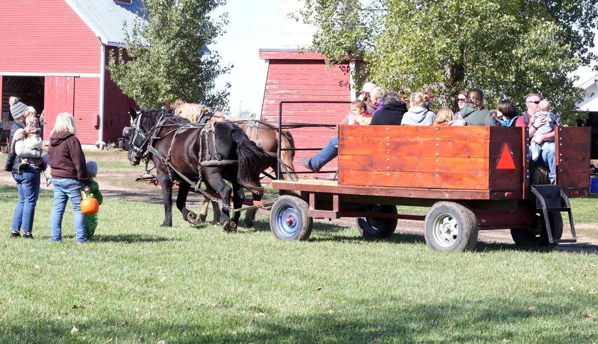 Wessels Fall Festival (1).jpg